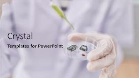  Presentation with sample - 