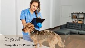  Presentation with beautiful hispanic woman - Presentation theme featuring young-beautiful-hispanic-woman-veterinarian background and a coral colored foreground