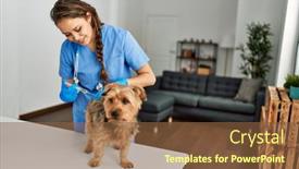  Presentation with beautiful hispanic woman - Theme featuring young-beautiful-hispanic-woman-veterinarian background and a tawny brown colored foreground
