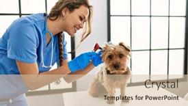  Presentation with beautiful hispanic woman - PPT theme enhanced with young-beautiful-hispanic-woman-veterinarian background and a soft green colored foreground