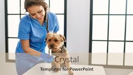  Presentation with veterinary - Slide set featuring young-beautiful-hispanic-woman-veterinarian background and a soft green colored foreground