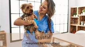  Presentation with confident young hispanic woman - Theme featuring young-beautiful-hispanic-woman-veterinarian background and a coral colored foreground