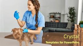  Presentation with temperature - Presentation theme enhanced with young-beautiful-hispanic-woman-veterinarian background and a tawny brown colored foreground