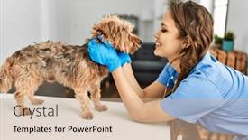  Presentation with confident young hispanic woman - Slide deck having young-beautiful-hispanic-woman-veterinarian background and a soft green colored foreground