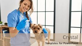  Presentation with temperature - Slides consisting of young-beautiful-hispanic-woman-veterinarian background and a coral colored foreground