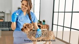  Presentation with temperature - Slides consisting of young-beautiful-hispanic-woman-veterinarian background and a coral colored foreground