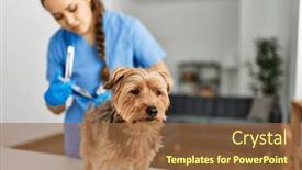  Presentation with beautiful hispanic woman - Slide set with young-beautiful-hispanic-woman-veterinarian background and a tawny brown colored foreground