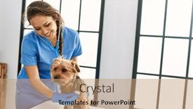  Presentation with veterinary - 