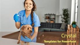  Presentation with beautiful hispanic woman - Slide set having young-beautiful-hispanic-woman-veterinarian background and a tawny brown colored foreground