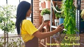  Presentation with plants - 