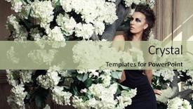  Presentation with black queen - Amazing PPT theme having young beautiful queen in black backdrop and a  colored foreground