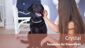  Presentation with black-woman - Amazing slide deck having young-beautiful-woman-at-terrace backdrop and a coral colored foreground