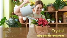  Presentation with young plant - 