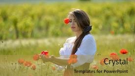  Presentation with poppies - Presentation theme featuring young beautiful woman on cereal field with poppies in summer sunny day background and a gold colored foreground