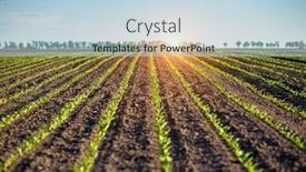  Presentation with earth day - Slide deck enhanced with young-beet-sprout-grows background and a lemonade colored foreground