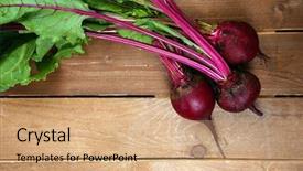  Presentation with beer pong table - Cool new PPT theme with young beets on wooden table backdrop and a coral colored foreground
