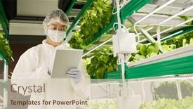  Presentation with vertical farm - Slides having young-biologist-in-protective-coveralls background and a soft green colored foreground