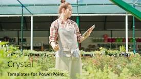  Presentation with photo display - Amazing presentation design having young-blond-female-farmer backdrop and a yellow colored foreground