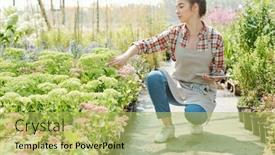  Presentation with young plant - Amazing presentation design having young-blond-female-farmer backdrop and a yellow colored foreground
