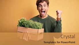  Presentation with curly hair - Presentation theme enhanced with young-blond-handsome-man background and a gold colored foreground