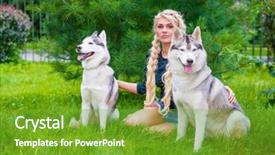  Presentation with husky - Beautiful presentation design featuring young blond woman with two husky dogs sits on grass in summer park backdrop and a tawny brown colored foreground