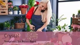  Presentation with young plant - 