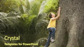  Presentation with healthy workplace full length side view - Colorful slide deck enhanced with young boy climbing large tree backdrop and a tawny brown colored foreground
