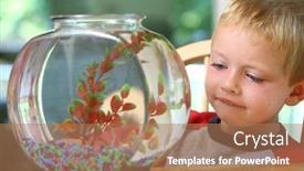  Presentation with fish - Amazing presentation having young-boy-looking-at-fish backdrop and a coral colored foreground