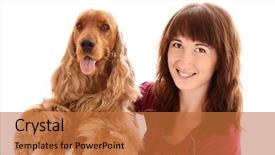  Presentation with puppy english cocker spaniel - PPT theme consisting of young brown cocker spaniel background and a red colored foreground