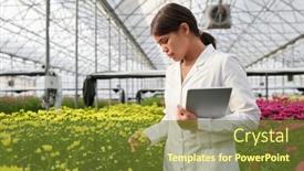  Presentation with female - PPT theme consisting of young-brunette-female-agro-engineer and a tawny brown colored foreground