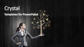  Presentation with money tree - PPT theme enhanced with young businesswoman showing money tree in her hand background and a dark gray colored foreground
