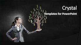  Presentation with money tree - PPT theme featuring young businesswoman showing money tree in her hand background and a black colored foreground
