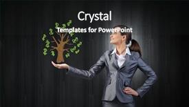  Presentation with money tree - Presentation theme consisting of young businesswoman showing money tree background and a  colored foreground