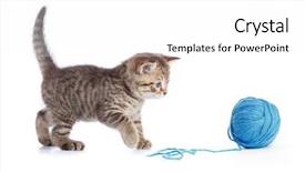  Presentation with treble clef watermark blue - Cool new presentation theme with young cat playing with blue backdrop and a white colored foreground