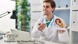  Presentation with uterus - Presentation design with young-caucasian-man-doctor-holding background and a light gray colored foreground