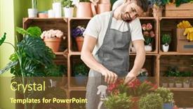  Presentation with young plant - 