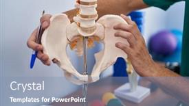  Presentation with spinal - PPT layouts having young-caucasian-man-physiotherapist-touching background and a light blue colored foreground