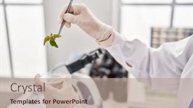  Presentation with herb - PPT theme with young-caucasian-man-scientist-holding background and a coral colored foreground