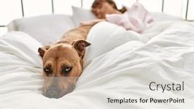  Presentation with young woman diagnosis of sti - PPT theme having young-caucasian-woman-sleeping-lying background and a  colored foreground