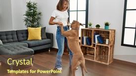  Presentation with guide dog helping blind woman - Slides with young-caucasian-woman-smiling-confident background and a  colored foreground