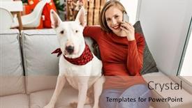  Presentation with dog christmas - 