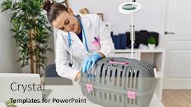  Presentation with veterinary - 