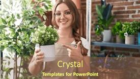  Presentation with hand holding plant - 