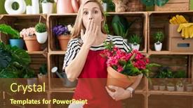  Presentation with hand holding plant - 