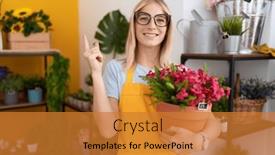  Presentation with hand holding plant - 