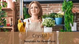  Presentation with young plant - 