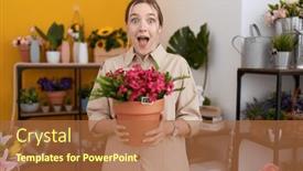  Presentation with young plant - 