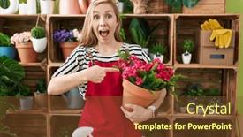  Presentation with hand holding plant - 