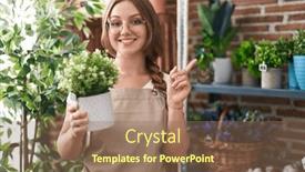  Presentation with hand holding plant - 