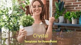  Presentation with young plant - 